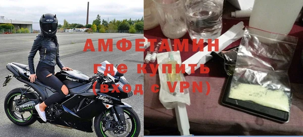 стаф Алзамай