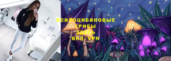 стаф Алзамай