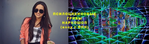 ПСИЛОЦИБИНОВЫЕ ГРИБЫ Алексин