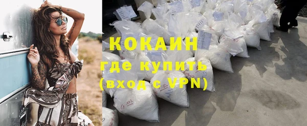 стаф Алзамай