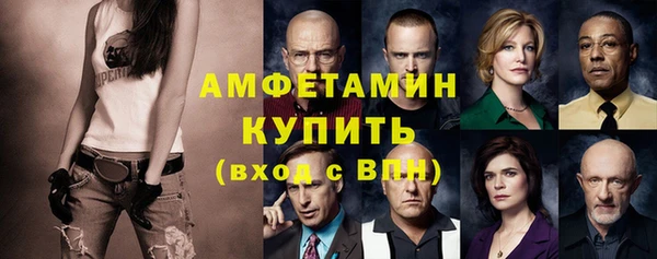 стаф Алзамай